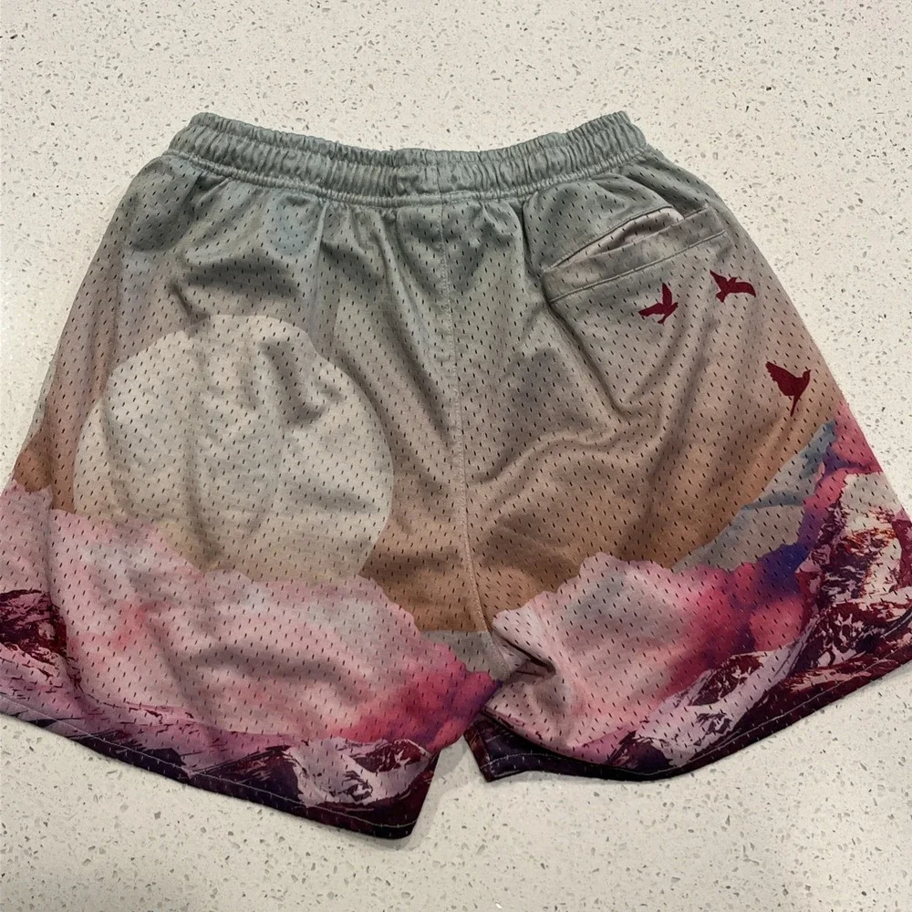 YoungLA 141 Block Party Sedona Sunrise Mesh Gym Shorts Men's Sz Small Stretch 4